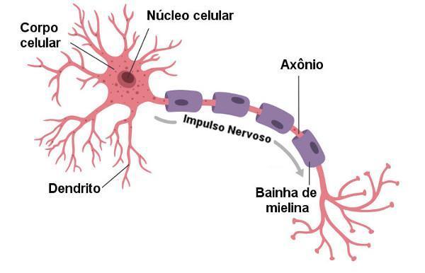 Impulso Nervoso Lúdico!