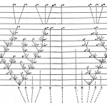 tree 150x150 - Atenção colecionadores de conchas, últimas unidades! (V.1, N.5, P.1, 2018)