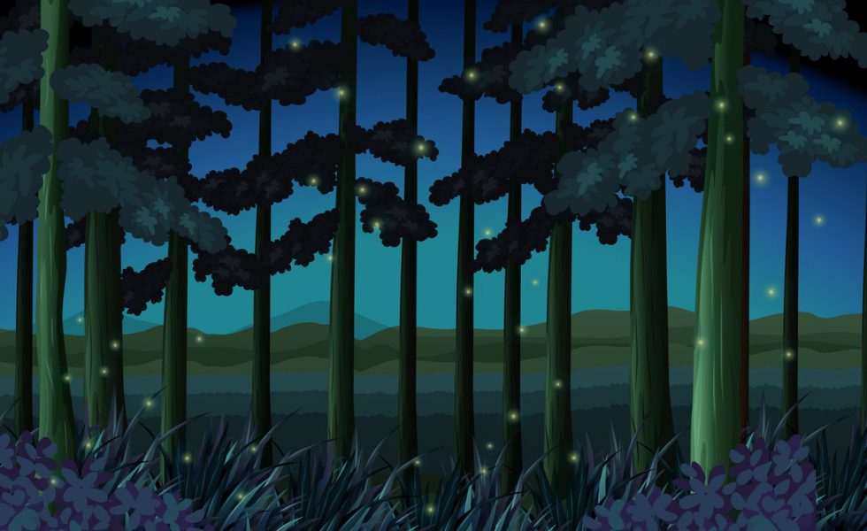A ilustração mostra uma noite na floresta. Há muito mato e outras plantas no chão, árvores e pode-se ver a silhueta de montanhas ao fundo. Em meio às plantas existem círculos amarelos que representam vaga-lumes.