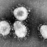 coronaviruses 150x150 - Máscaras contra o coronavírus: usar ou não usar? (V.3, N.4, P.3, 2020)