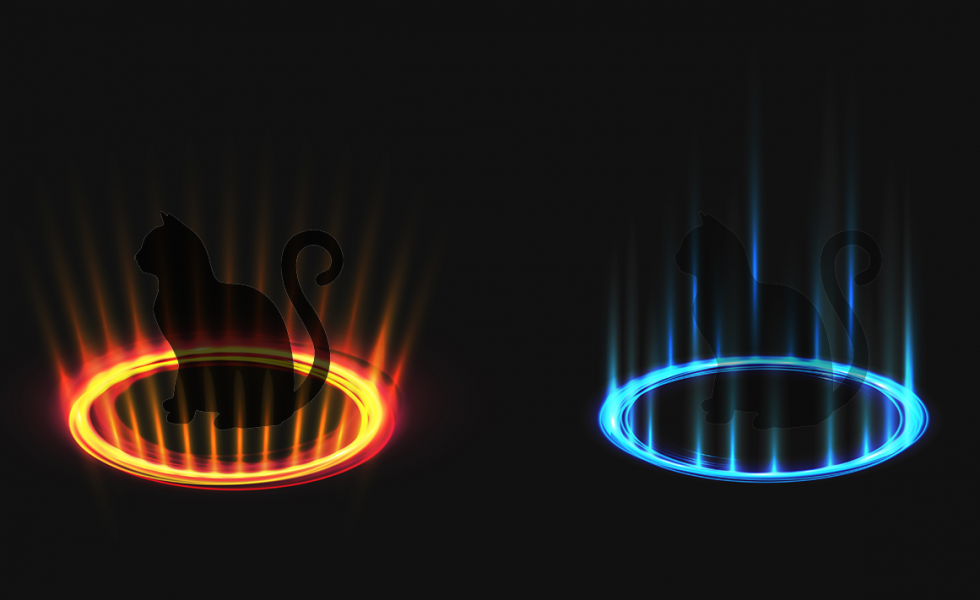 Fundo preto com dois portais circulares feitos de luz, um laranja à esquerda e um azul à direita. No centro de ambos há o contorno de um gato preto que parece estar desaparecendo de um lado e aparecendo do outro.