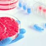 carne placa de petri 150x150 - Desmistificando os transgênicos na agricultura: vantagens e desvantagens associadas à saúde humana, social e ambiental (V.5, N.5, P.6, 2022)