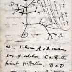 notas darwin 150x150 - O que a Alice de Lewis Carroll e a teoria da evolução têm em comum? (V.4, N.5, P.4, 2021)
