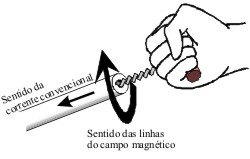 saca rolhas - Quando você corre quase tão rápido quanto a luz: o uso de analogias e metáforas (V.4, N.5, P.2, 2021)