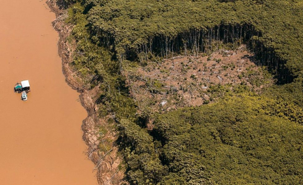 Imagem aérea de desmatamento e garimpo na Amazônia, às margens do rio Madeira.