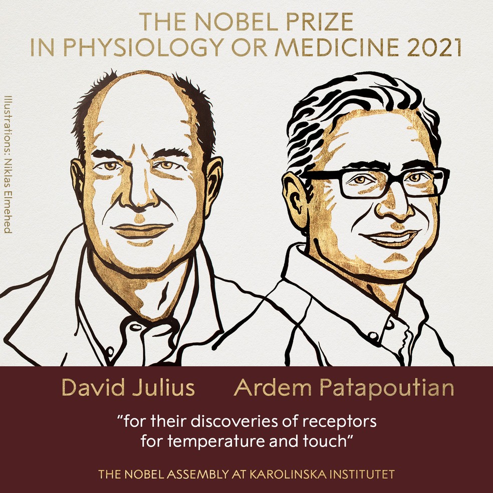 david julius ardem patapoutian 1 - (Português do Brasil) O Prêmio Nobel de Medicina de 2021 e o porquê de você não sentir suas calças (V.4, N.10, P.2, 2021)
