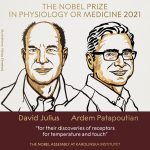 david julius ardem patapoutian 150x150 - (Português do Brasil) Os pontos quânticos e o Prêmio Nobel de Química (V.6, N.10, P.3, 2023)
