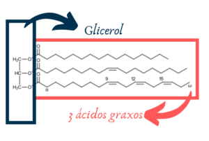 glicerol 300x203 - (Português do Brasil) Ranço: um caminho sem volta (V.5, N.3, P.2, 2022)