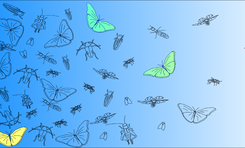 Retângulo com fundo azul que vai clareando até tornar-se branco da esquerda para direita. Nele encontram-se perfis de vários tipos de insetos, como borboletas, besouros, grilos, formigas e abelhas que se encontram em abundância do lado esquerdo e vão diminuindo em número até sumirem à direita
