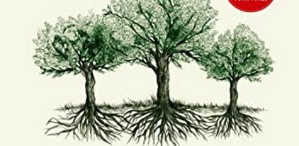 A imagem é parte da capa de "A vida Secreta das Árvores " e apresenta três árvores , destacando troncos, copas e raízes.