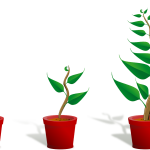 planta crescendo 150x150 - Planta carnívora faz cocô? (V.6, N.4, P.4, 2023)