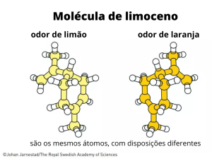 limoceno 300x225 - (Português do Brasil) Catalisadores: o que são, para quê servem e para onde vão? (V.5, N.11, P.2, 2022)