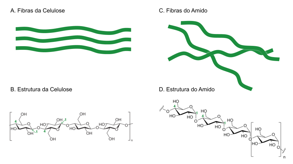 celulose amido - (Português do Brasil) Você sabia que pode flutuar? Uma trip eletrônica. Parte 2 (V.6, N.5, P.2, 2023)