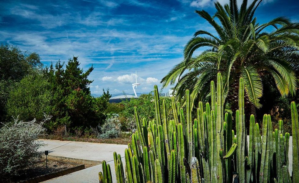 Imagem do jardim botânico de Barcelona, onde abrigam mais de 1.300 espécies de plantas, onde existe clima mediterrâneo