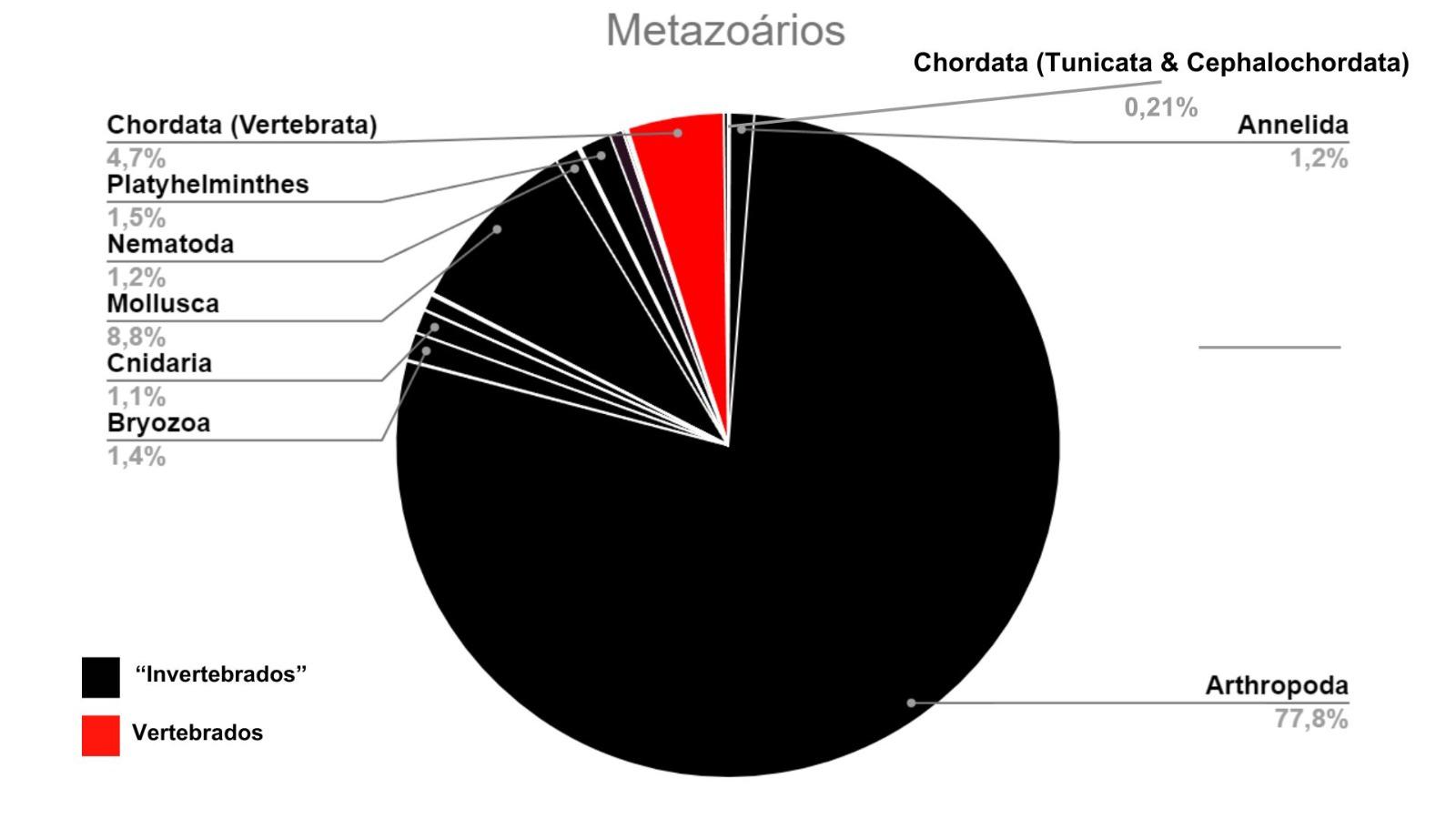 metazoarios 1 - (Português do Brasil) É adequado chamar animais sem coluna vertebral de invertebrados? (V.7, N.4, P.4, 2024)