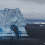 Copia de C.Lizieri Iceberg encontrado nas ilhas Sub Antarticas 150x150 - Adeus, 2024. (V.7, N.12, P.5, 2024)