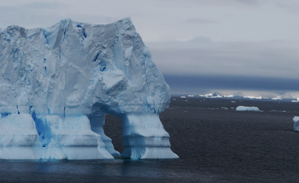 Copia de C.Lizieri Iceberg encontrado nas ilhas Sub Antarticas 980x600 - O mar fala. Será que estamos escutando? (V.7, N.12, P.3, 2024)