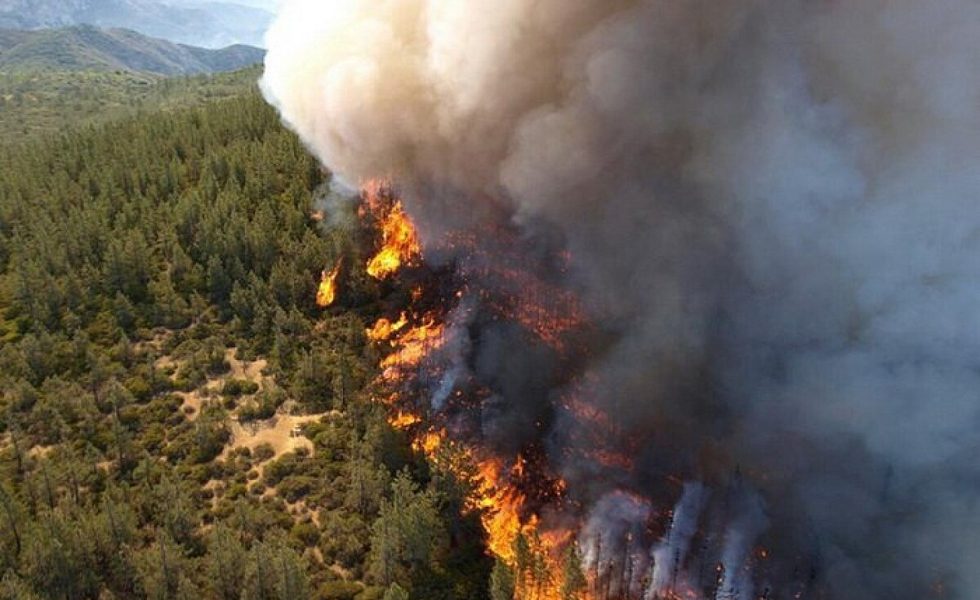 Wildfire From The Air 980x600 - Queimadas: Efeitos Visíveis e Invisíveis (V.8, N.1, P.1, 2025)