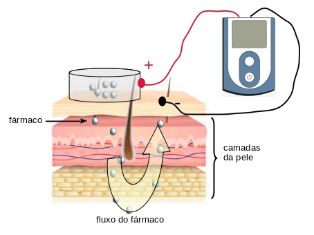 Pele virtual: uma revolução na indústria cosmética? (V.8, N.6, P.5, 2025) image2 1 - Pele virtual: uma revolução na indústria cosmética? (V.8, N.6, P.5, 2025)