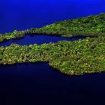 (Português do Brasil) Como o Mundo se Comunica Sem Fio (V.8, N.12, P.2, 2025) 40263808814 cd823fe685 c 150x150 - (Português do Brasil) Como o Mundo se Comunica Sem Fio (V.8, N.12, P.2, 2025)